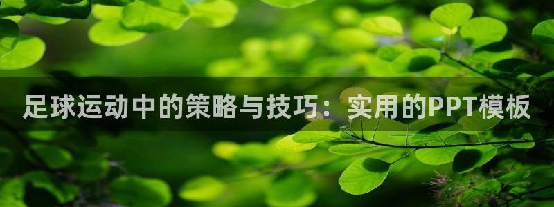中欧体育官网入口：足球运动中的策略与技巧：实用的PPT模板