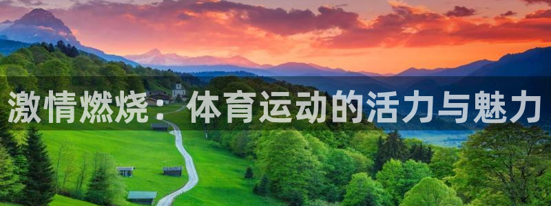 中欧体育平台：激情燃烧：体育运动的活力与魅力