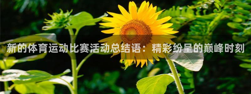 中欧体育(zoty)官网：新的体育运动比赛活动总结语：精彩纷呈的巅峰时刻