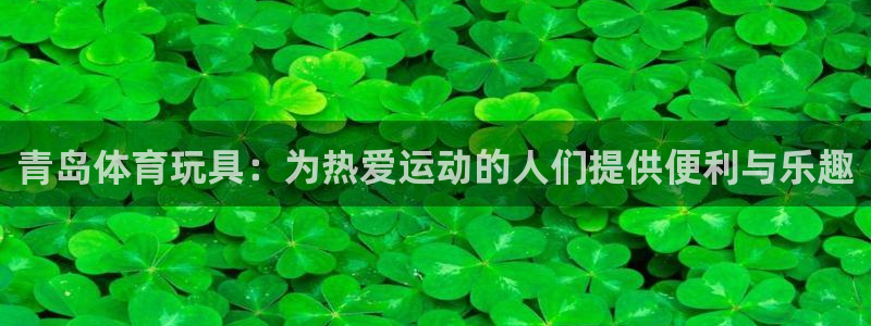 中欧体育全站app：青岛体育玩具：为热爱运动的人们提供便利与乐趣