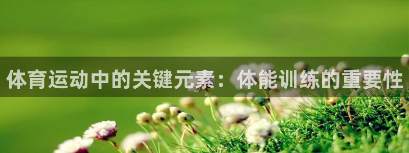 中欧体育网址：体育运动中的关键元素：体能训练的重要性