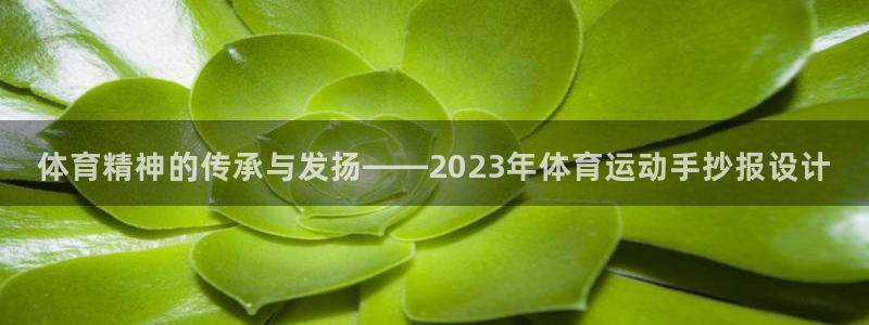 中欧体育最新地址：体育精神的传承与发扬——2023年体育运动手抄报设计