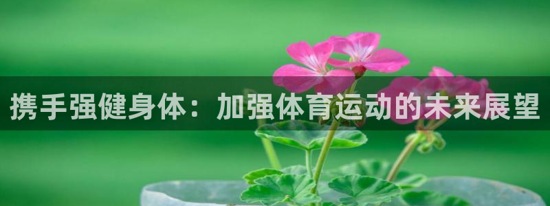 中欧体育：携手强健身体：加强体育运动的未来展望