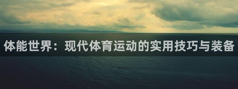 中欧体育李勇鸿：体能世界：现代体育运动的实用技巧与装备